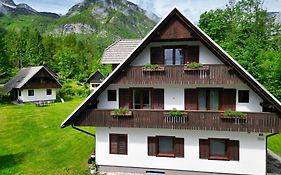 Apartmaji-Sobe-Pri Ukcu Bohinj